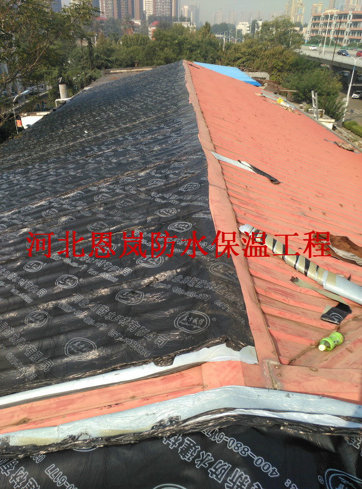 華藥集團設計研究院辦公室彩鋼屋面防水施工