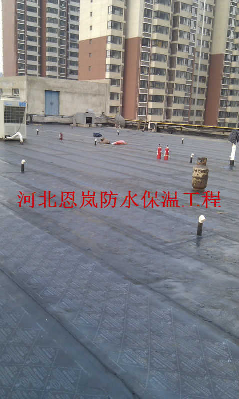 東明家居東二環(huán)總店商城屋頂防水大修