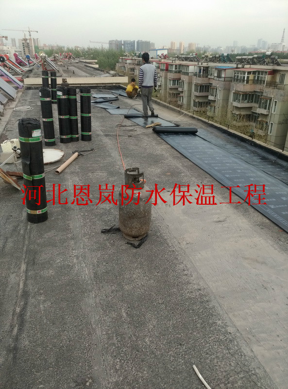 河北糧油食品進(jìn)出口有限公司家屬樓防水施工現(xiàn)場