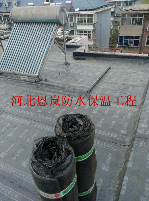 IMG_20160408_172449.jpg