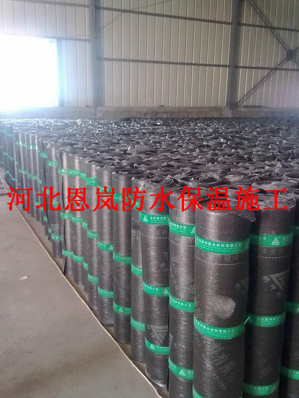 APP改性瀝青防水卷材抗拉力防水防護(hù)工程