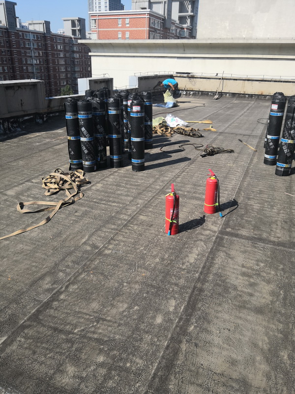 石家莊市社保局屋頂防水大修工程施工現場