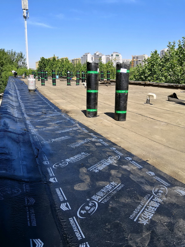 石家莊市新華區(qū)國醫(yī)館屋頂防水大修工程--4型卷材
