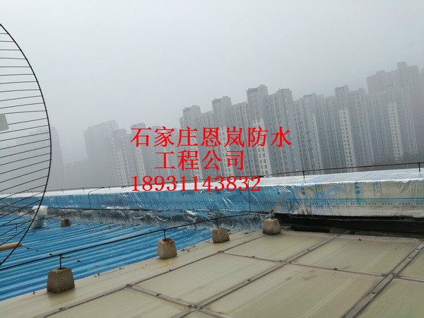 IMG_20171027_081223_調(diào)整大小.jpg