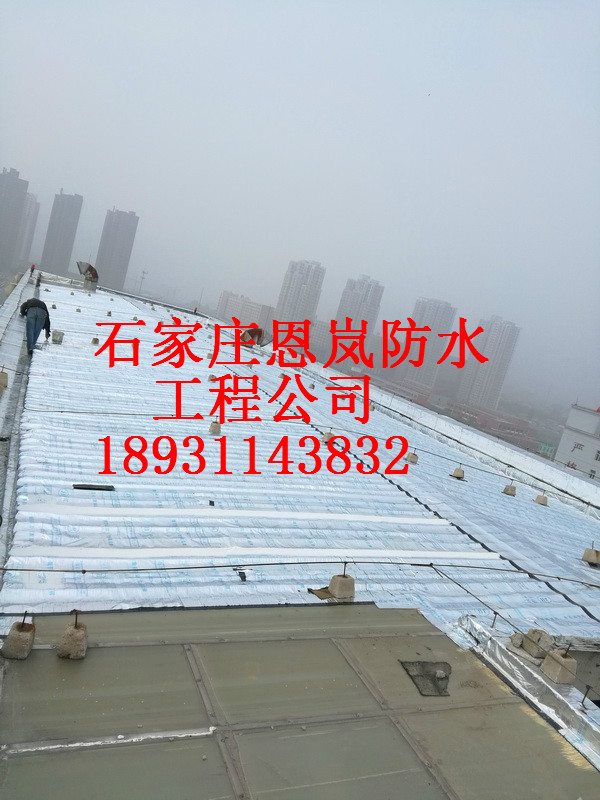 IMG_20171028_112040_調(diào)整大小.jpg