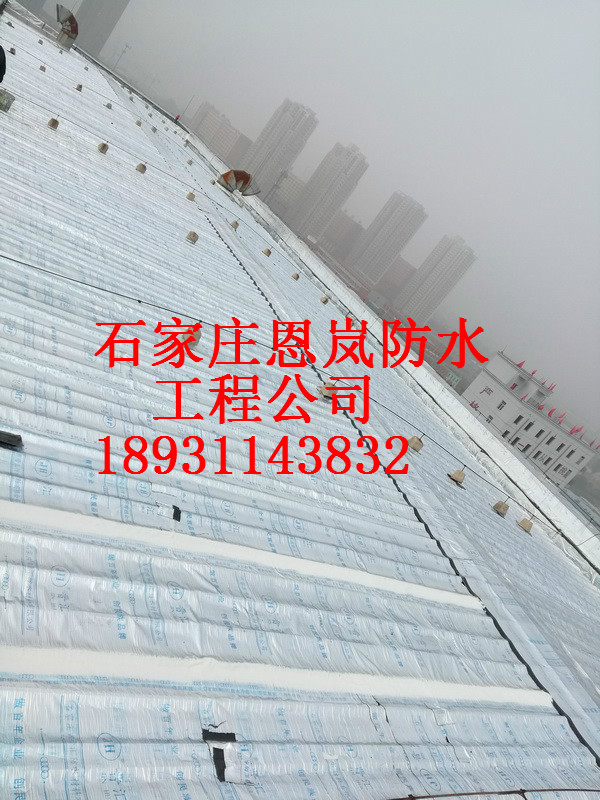 IMG_20171028_112054_調(diào)整大小.jpg