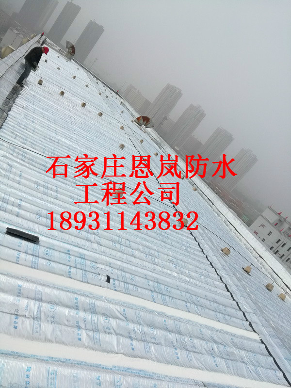 IMG_20171028_112059_調(diào)整大小.jpg