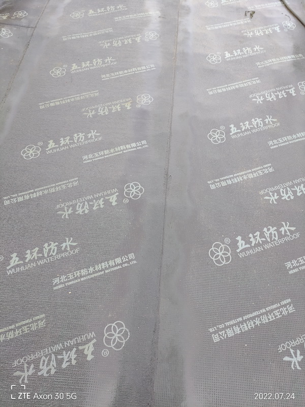 石家莊防水公司--石家莊防水恩嵐公司施工案例