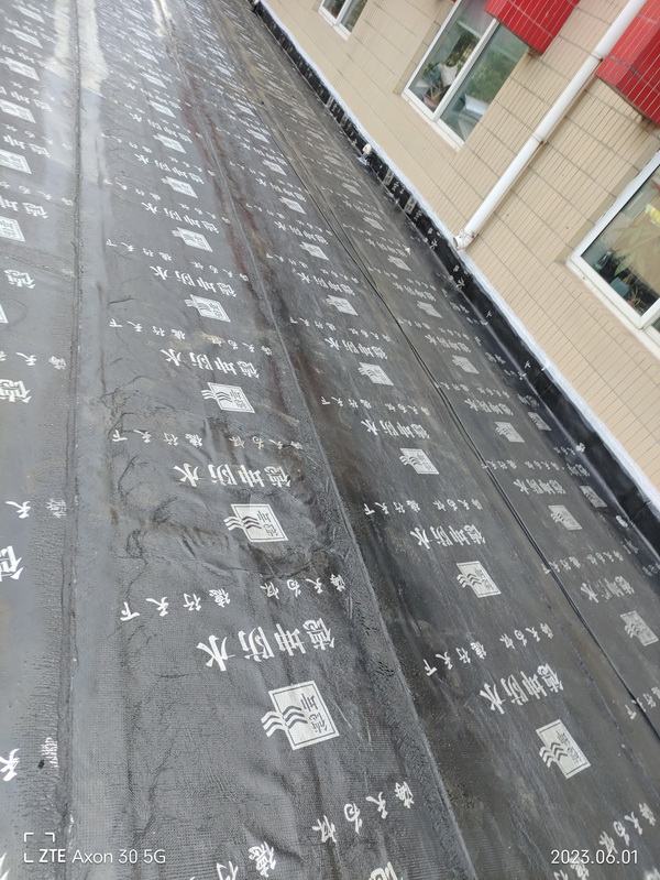 石家莊恩嵐防水工程---先楚核能廠史館屋頂防水
